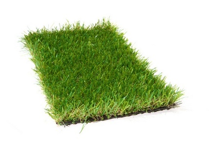 Газонная трава в рулонах или рулонный газон